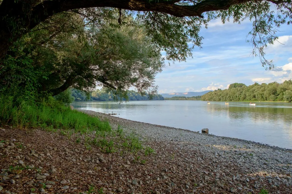 Bir adam Tuna Nehri'nde yanlışlıkla bir su şeytanı'nı görüntüledi Etkileyici görüntüler